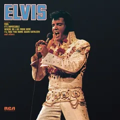 Elvis (Fool) 封面