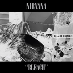 Bleach (Deluxe Edition) 封面